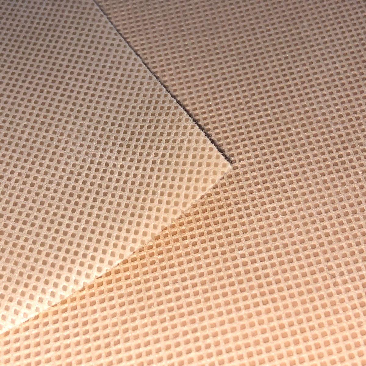 Netesut PP100% 100gr/m2 160cm 200ml/rola (bej) TR