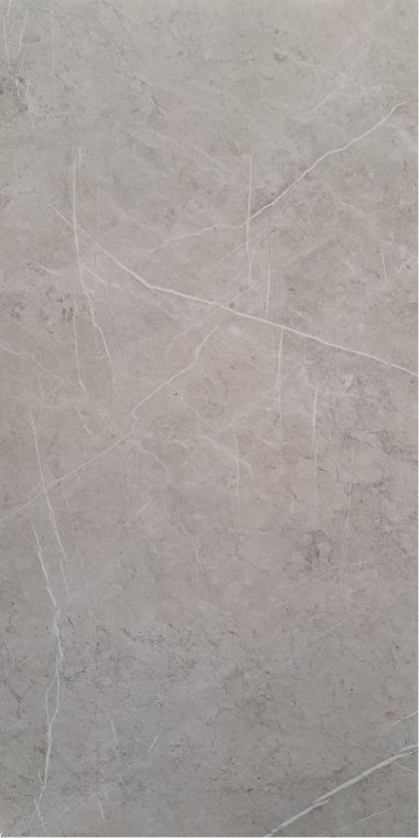 Alesta Silver MAT 60×120