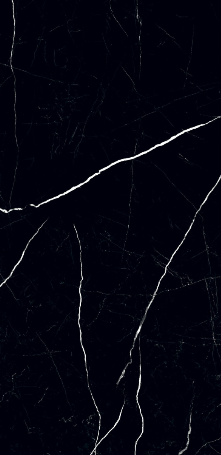 Gresie si faianta portelanata BLACK PULPIS POL 1198*598mm