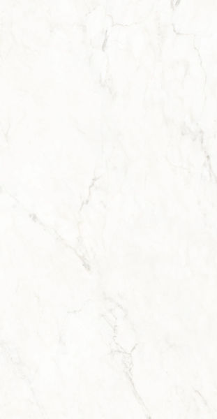 Gresie si faianta portelanata CONCORDE Matt 59.8x119.8cm