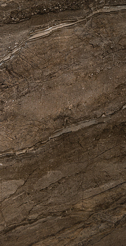 Gresie si faianta portelanata ODEON VIZON POL 120x60