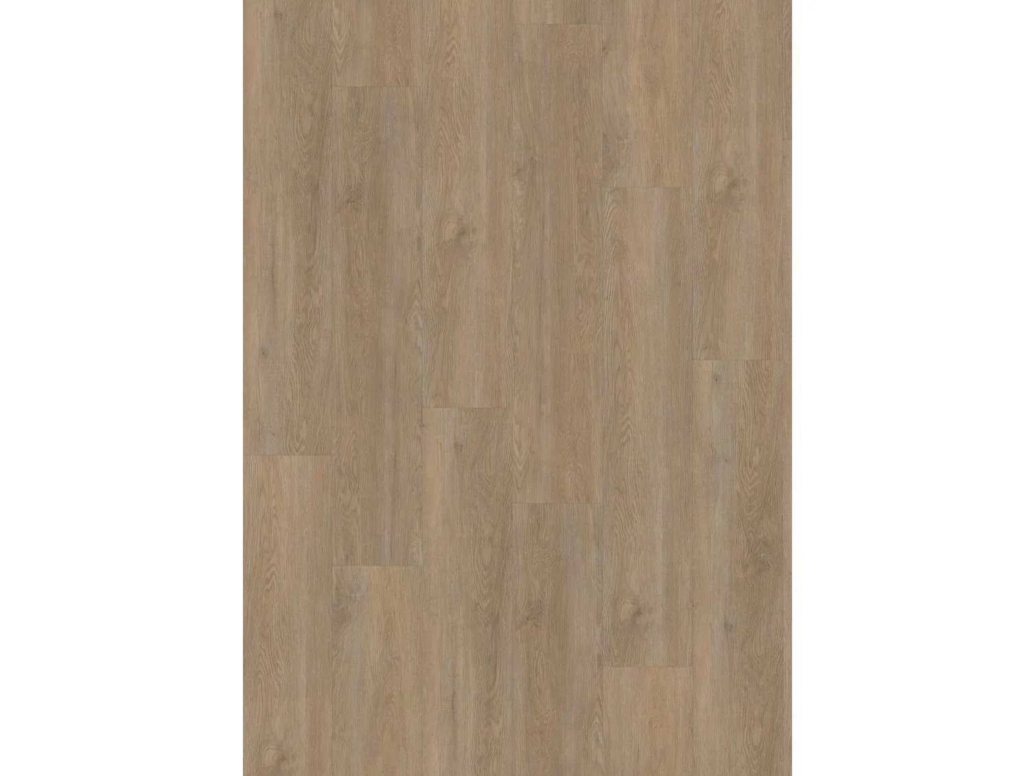 Project Oak 5100 SPC