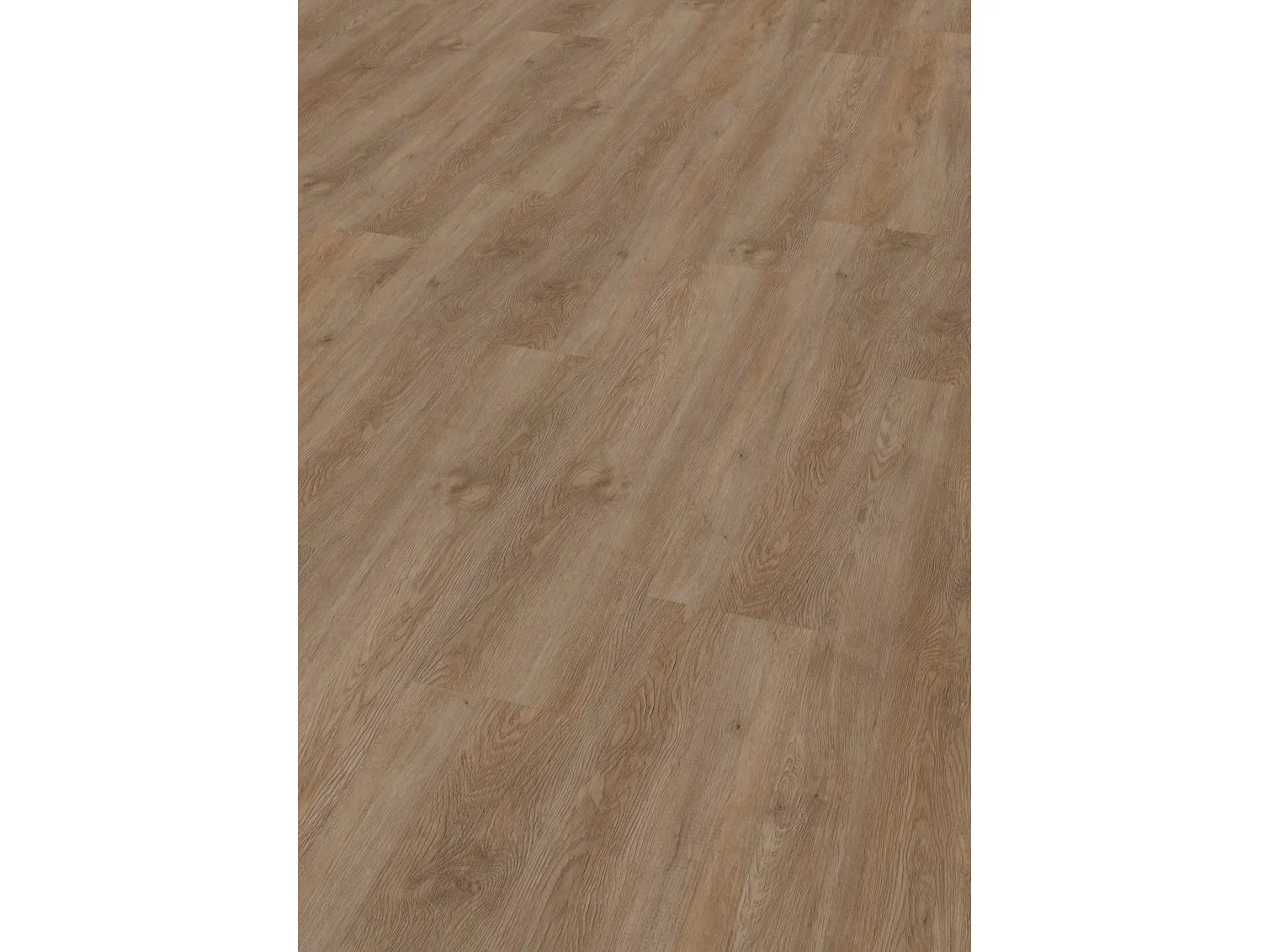 Project Oak 5300 SPC