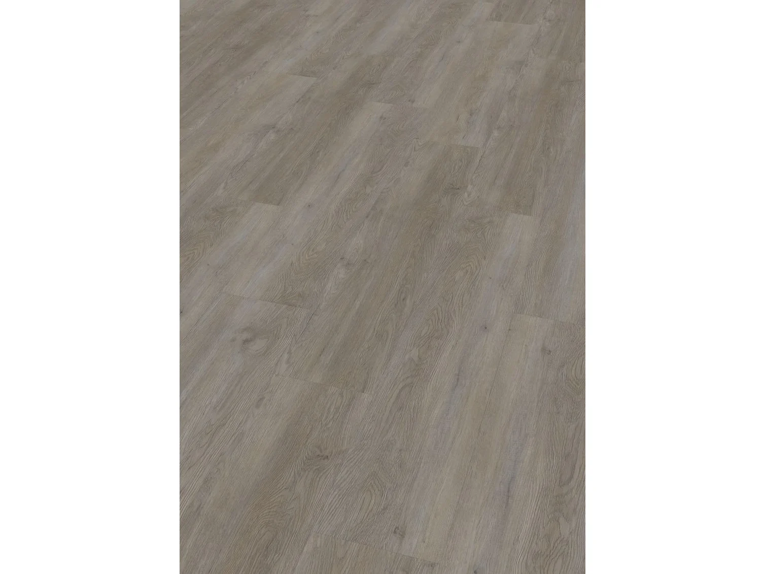 Project Oak 5600 SPC