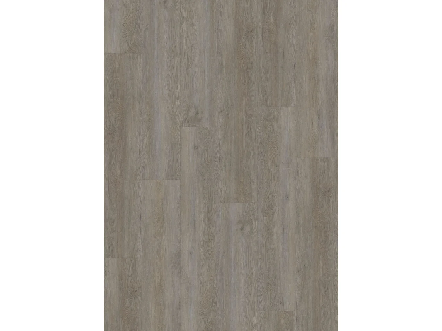 Project Oak 5600 SPC