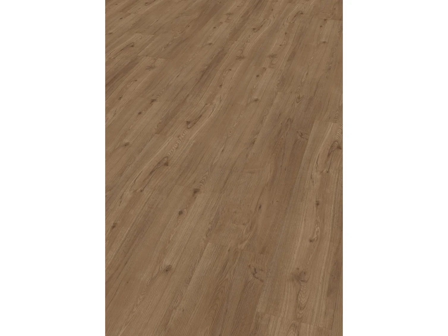 Project Oak 5001 SPC