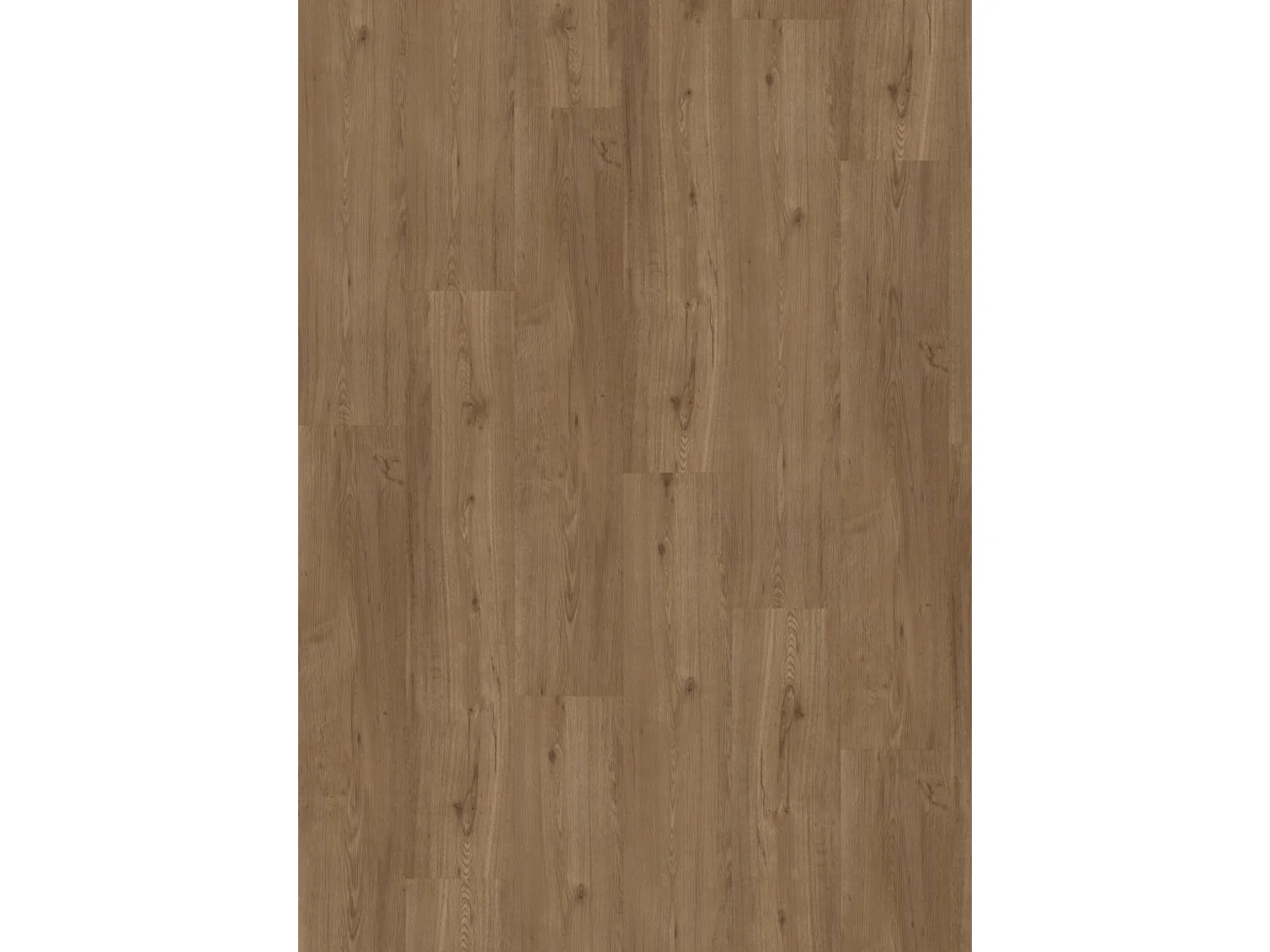 Project Oak 5001 SPC