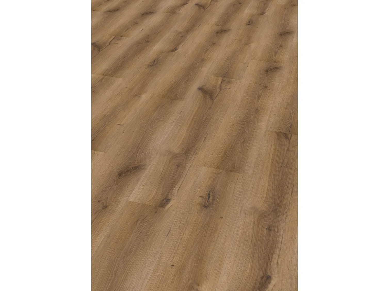 Project Oak 5002 SPC