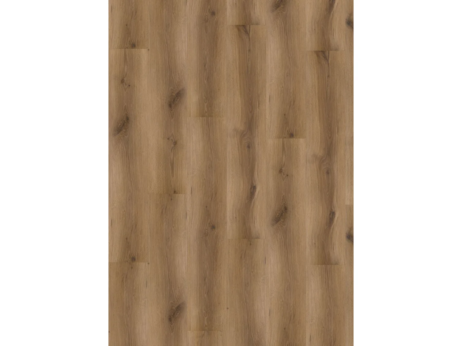 Project Oak 5002 SPC