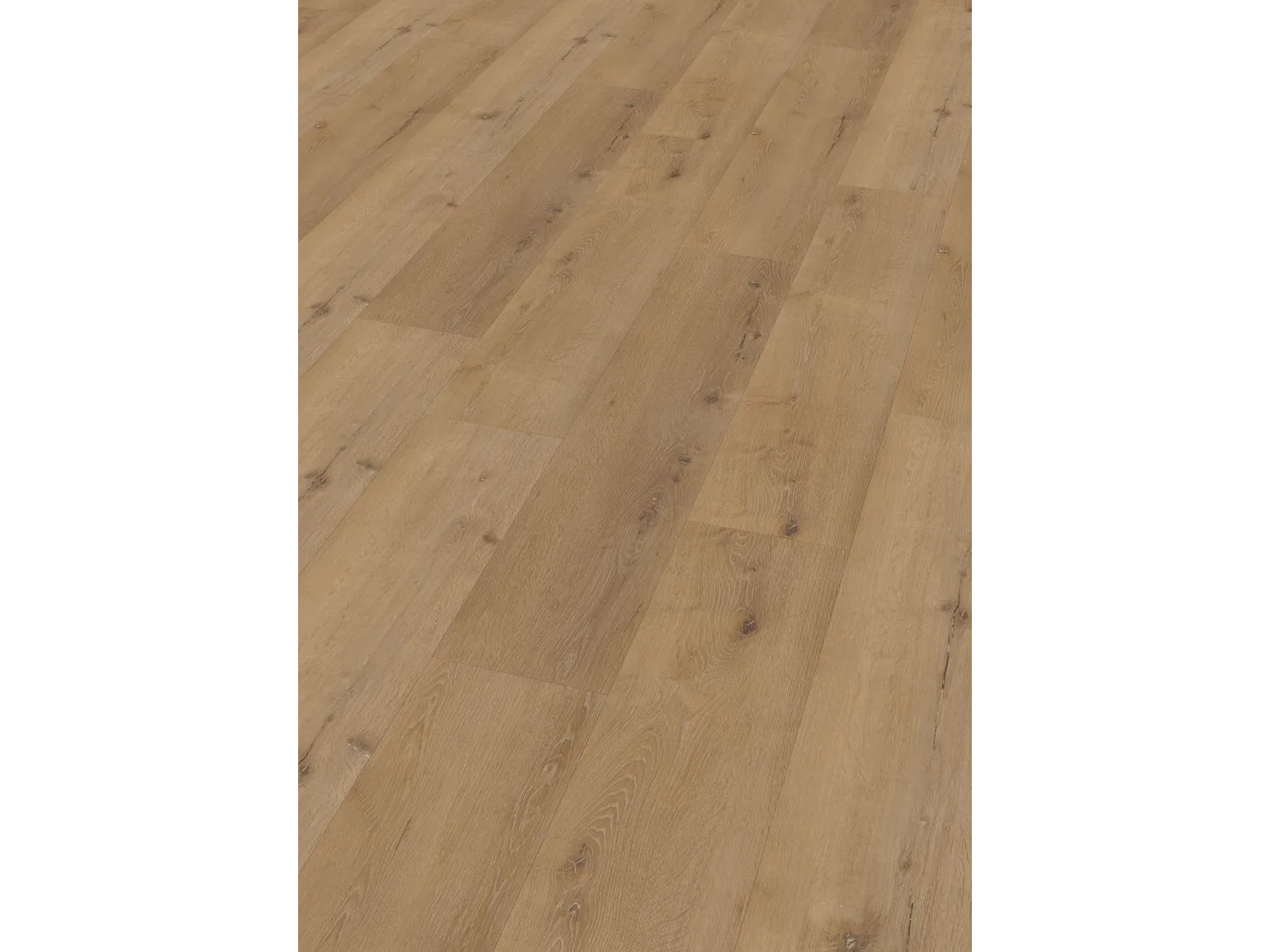 Project Oak 5004 SPC