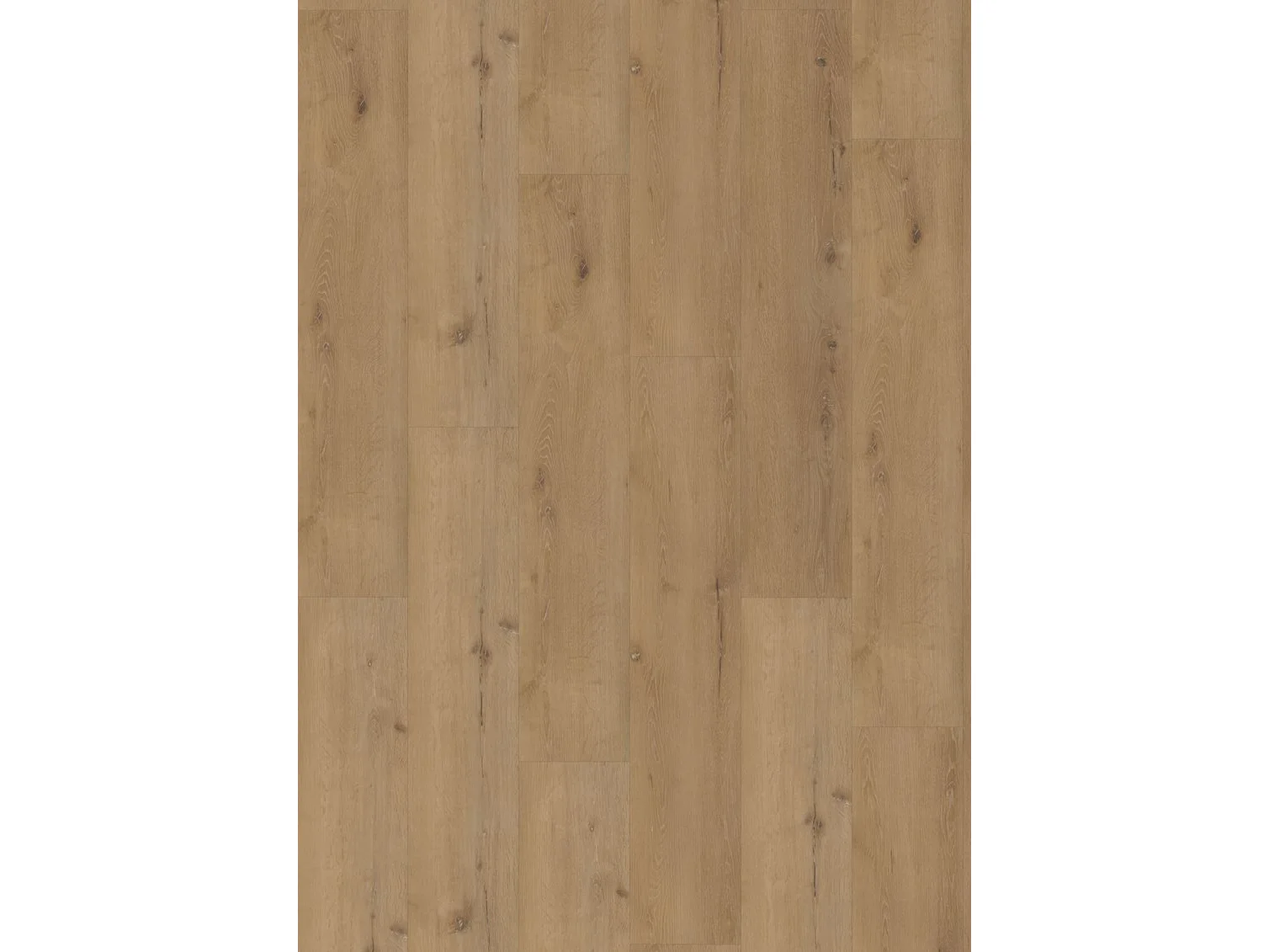 Project Oak 5004 SPC