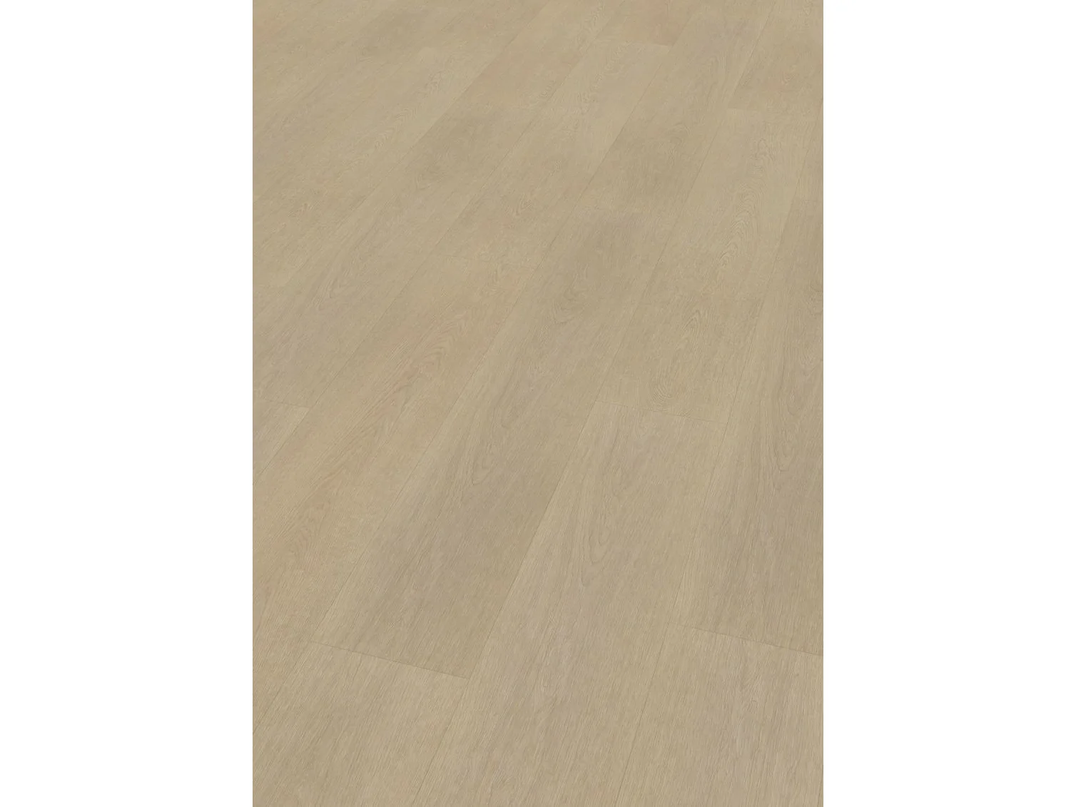 Project Oak 5005 SPC