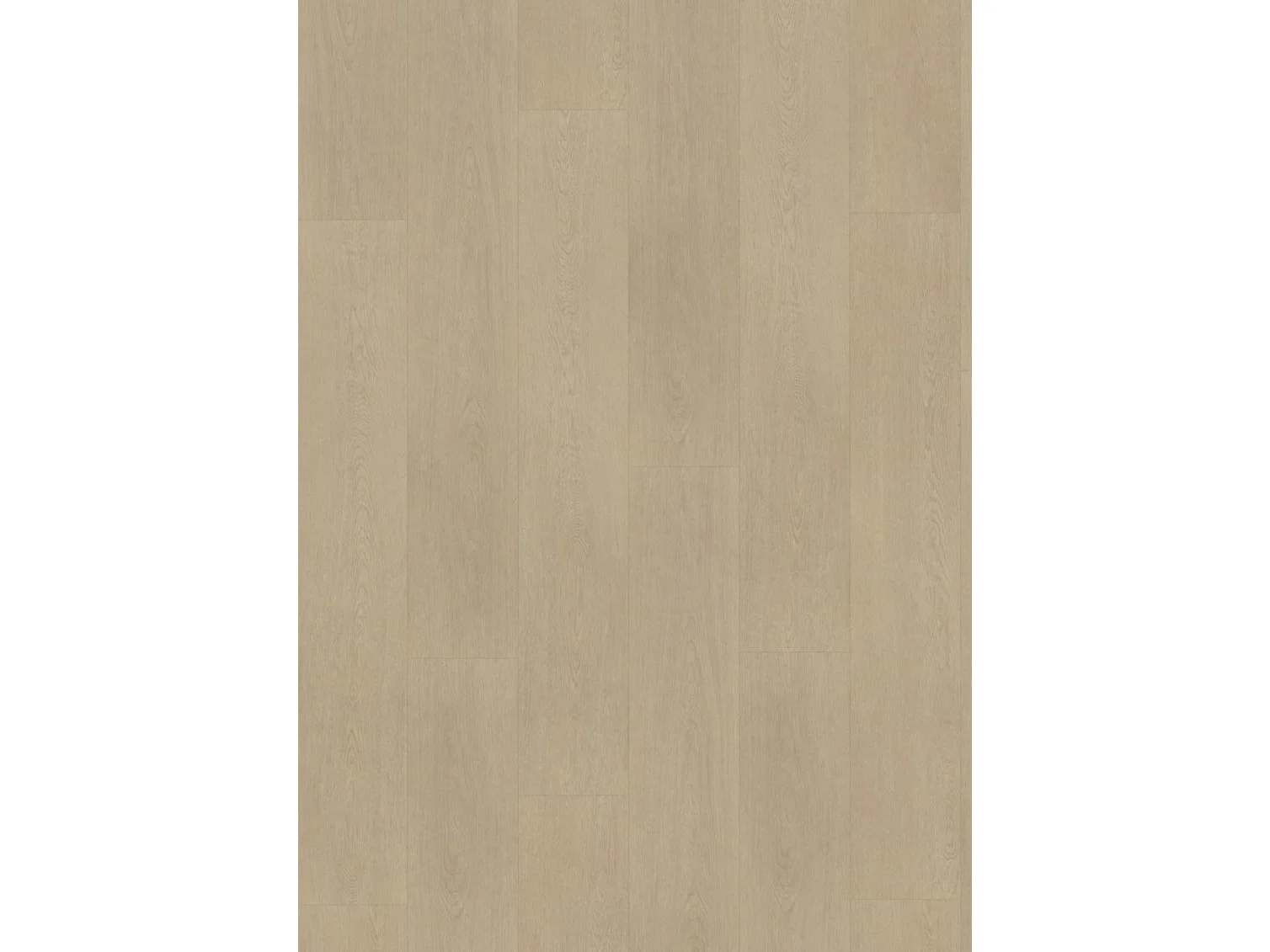 Project Oak 5005 SPC