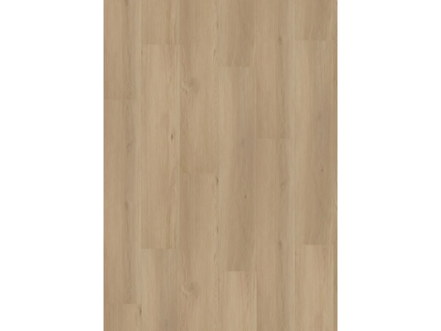 Project Oak 5006 SPC