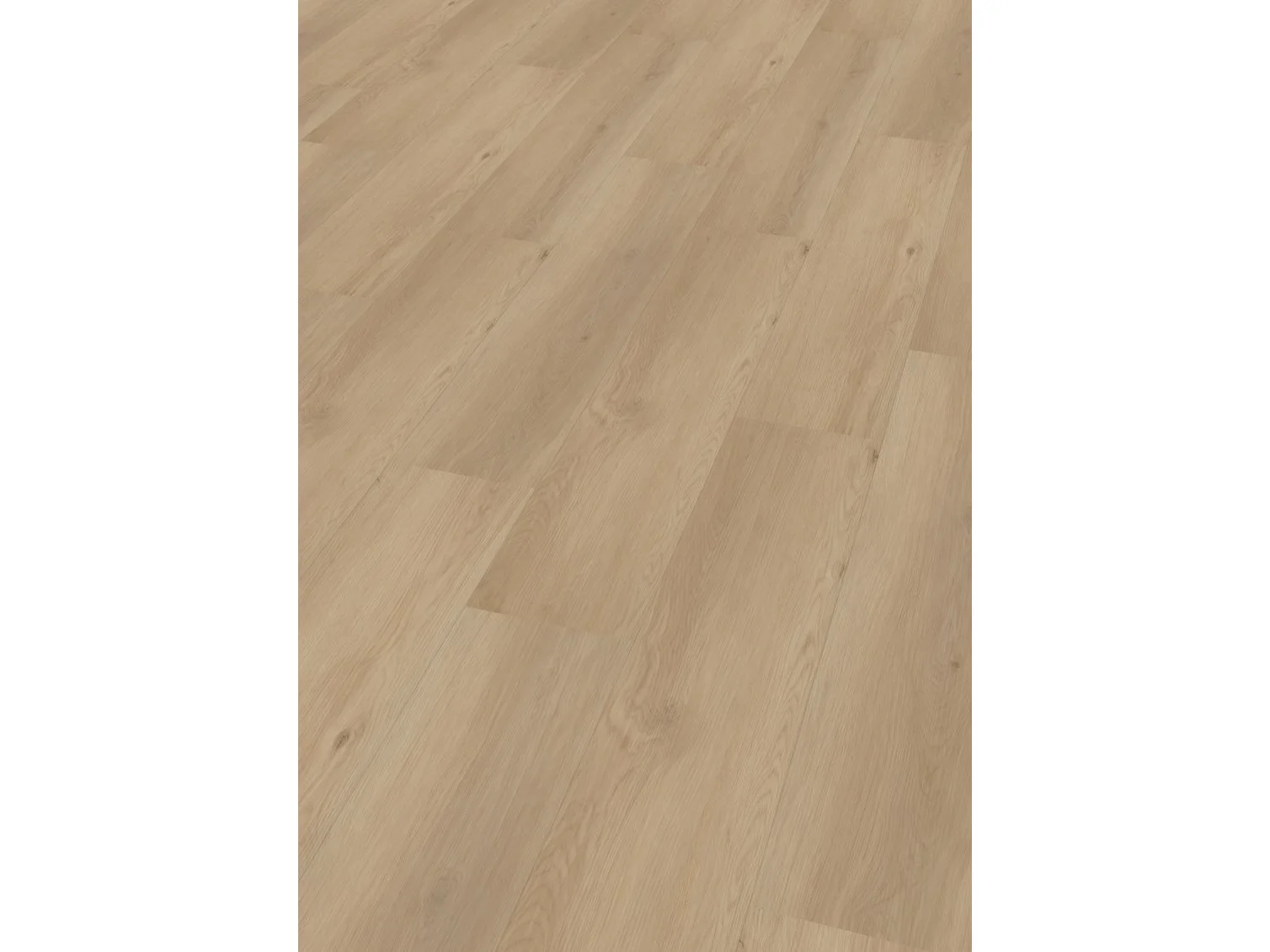 Project Oak 5006 SPC