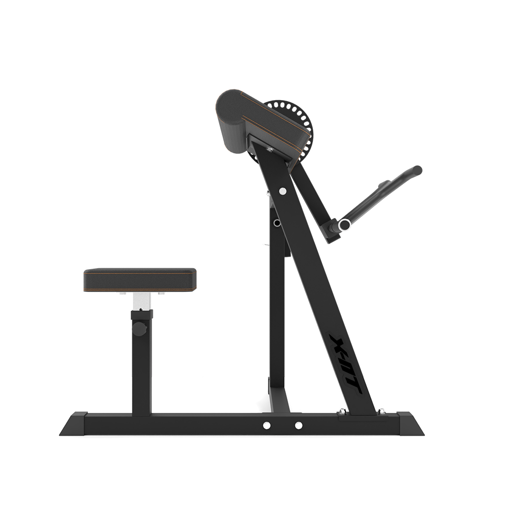 Banca Scott pt flexii biceps şi triceps (max. 120 kg) inSPORTline X-NT BT20 IN28152