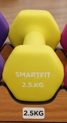Gantera mat 2.5 kg (1 buc.) DBN003 (1726)