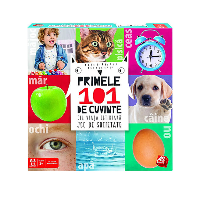 Развивающая игра "Первое 101 слово" (RO) 50838 (10120)