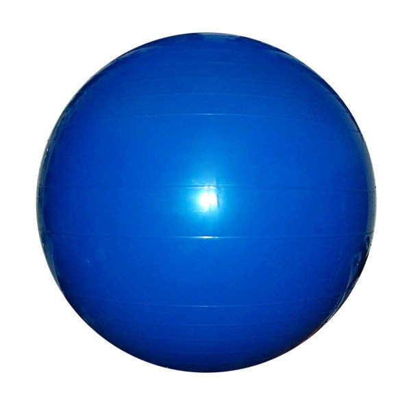 Minge gimnastica cu pompa d=85 cm, 1.5 kg GB1502 (6163)
