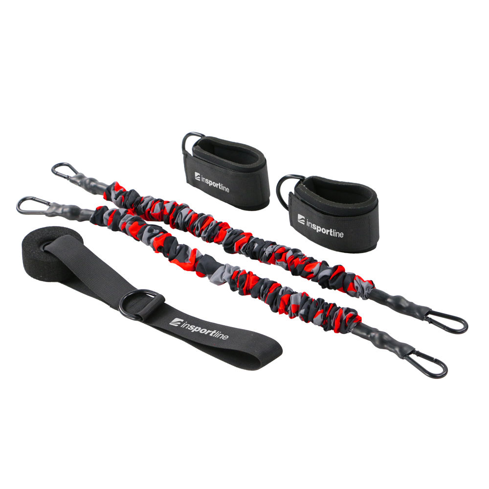 Banda de rezistenta 16 kg + curele glezna + fixator usa inSPORTline Striker Door 24168 (10801)
