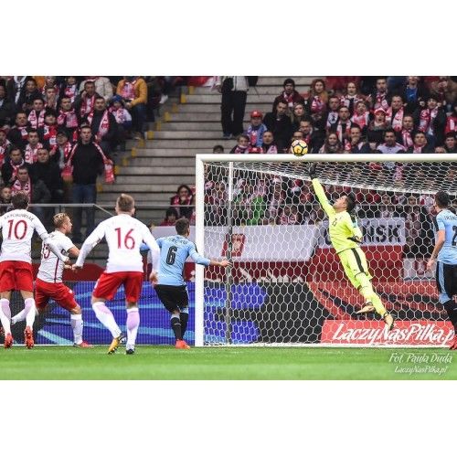 Poarta fotbal 7.32х2.44 m aluminum Yakimasport BR0007 (5042)