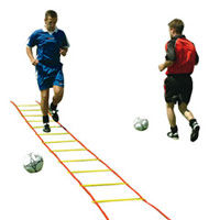 Лестница координационная Alvic 8 м (516)