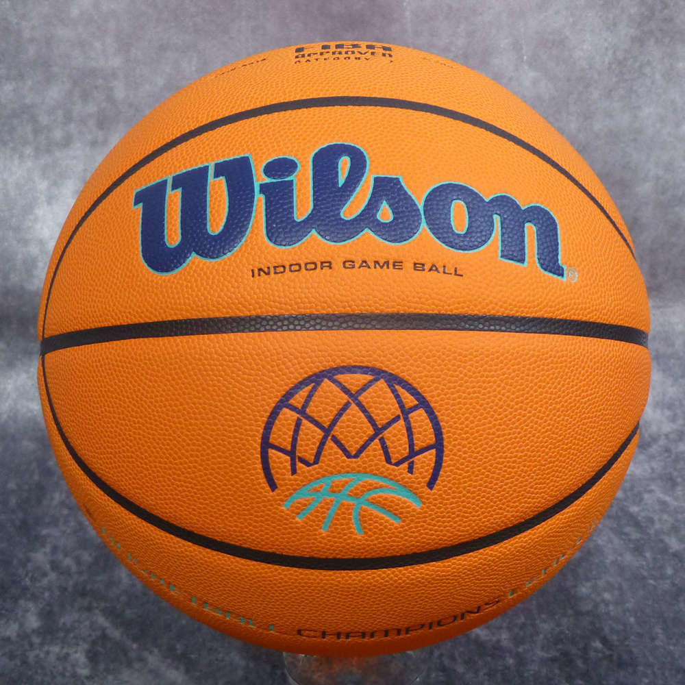 Мяч баскетбольный №7 Wilson EVO NXT CHAMPIONS LEAGUE WTB0900XBBCL (2565)