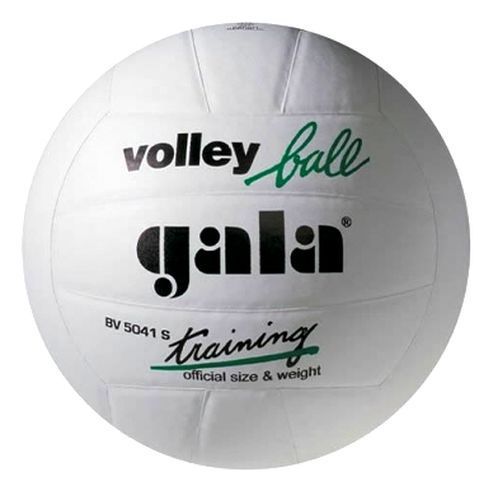 Minge volei Gala Training white 5041 (2023)