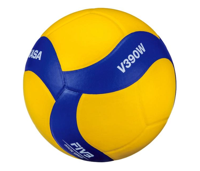 Мяч волейбольный Mikasa V390W Training (10244)