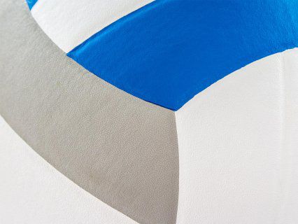 Мяч волейбольный Wilson IMPACT  WTH4001B (8695)