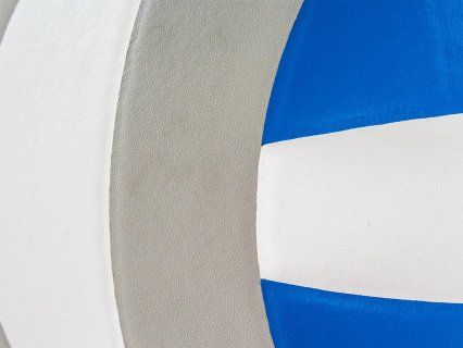 Мяч волейбольный Wilson IMPACT  WTH4001B (8695)