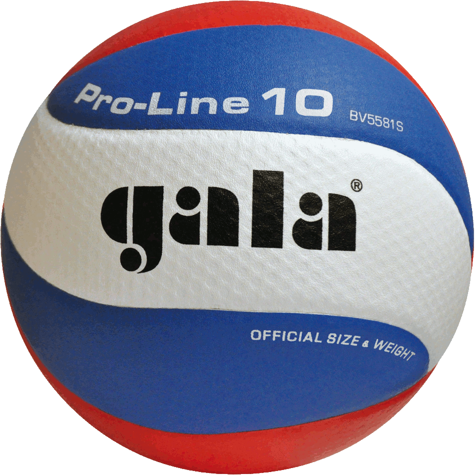 Мяч волейбольный №5 Gala Pro Line 5581 (1135)