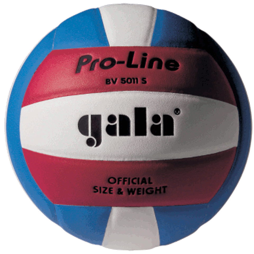 Мяч волейбольный №5 Gala Pro-Line 5011 FIVB (136)