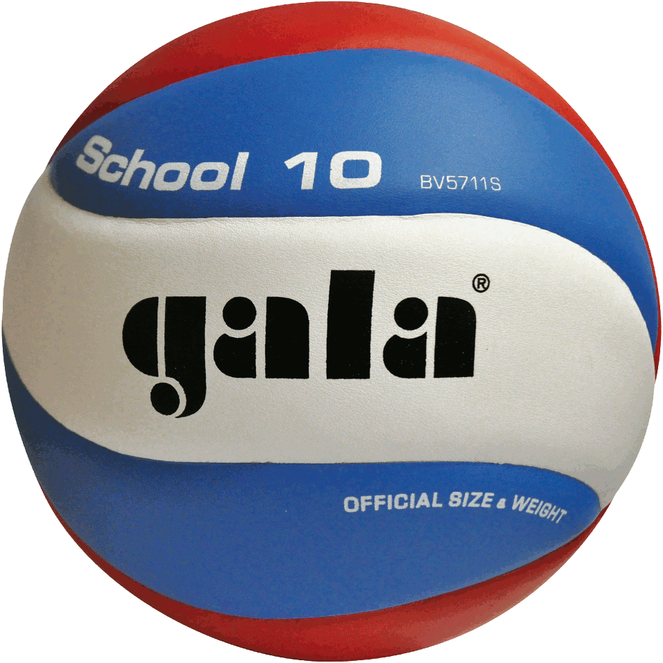Мяч волейбольный №5 Gala School 10 5711 (1133)