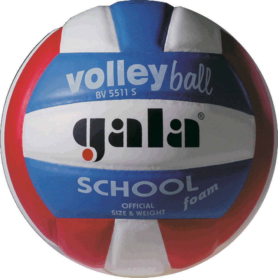 Minge volei №5 Gala School Foam 5511 (1136)
