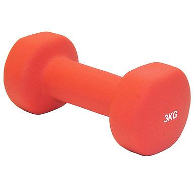 Гантель матовая 3 кг (1727)