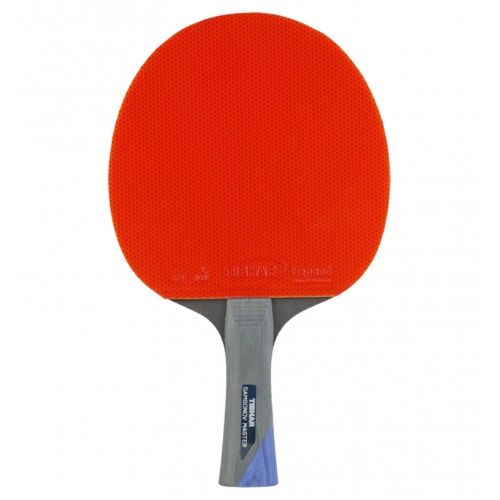 Ракетка для настольного тенниса Samsonov Master Tibhar (735)