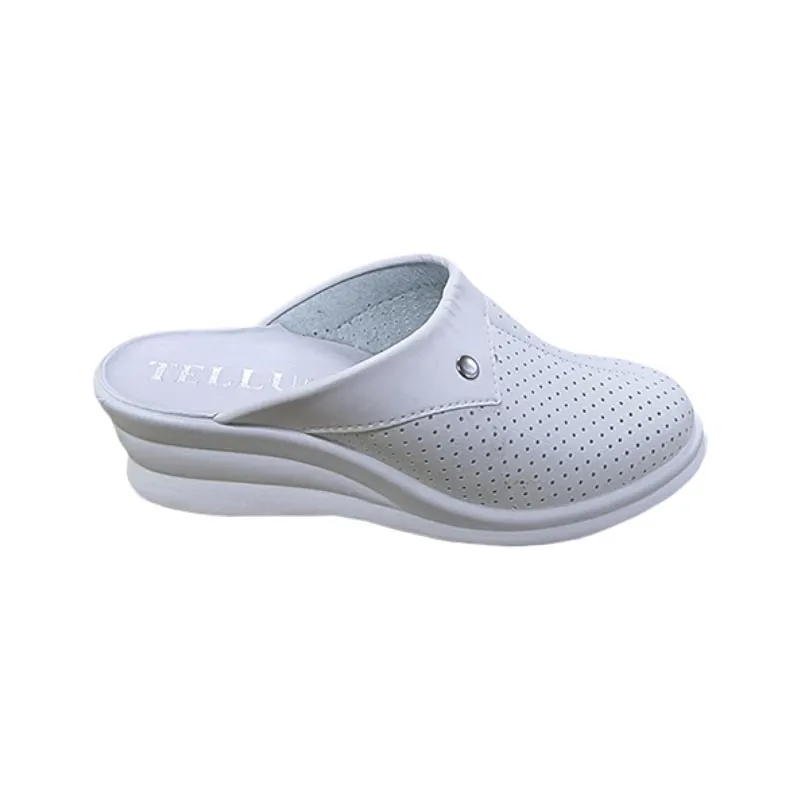 Ciupici Dame (36-41)