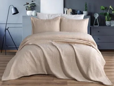 Set cuvertura cu 2 fete de perna (240x260/50x70)