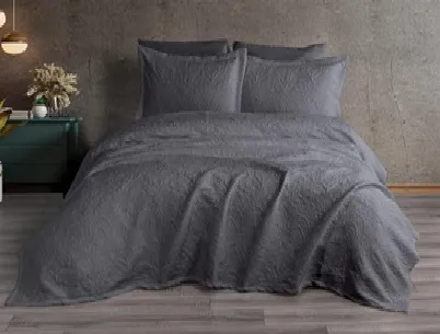 Set cuvertura cu 2 fete de perna (240x260/50x70)