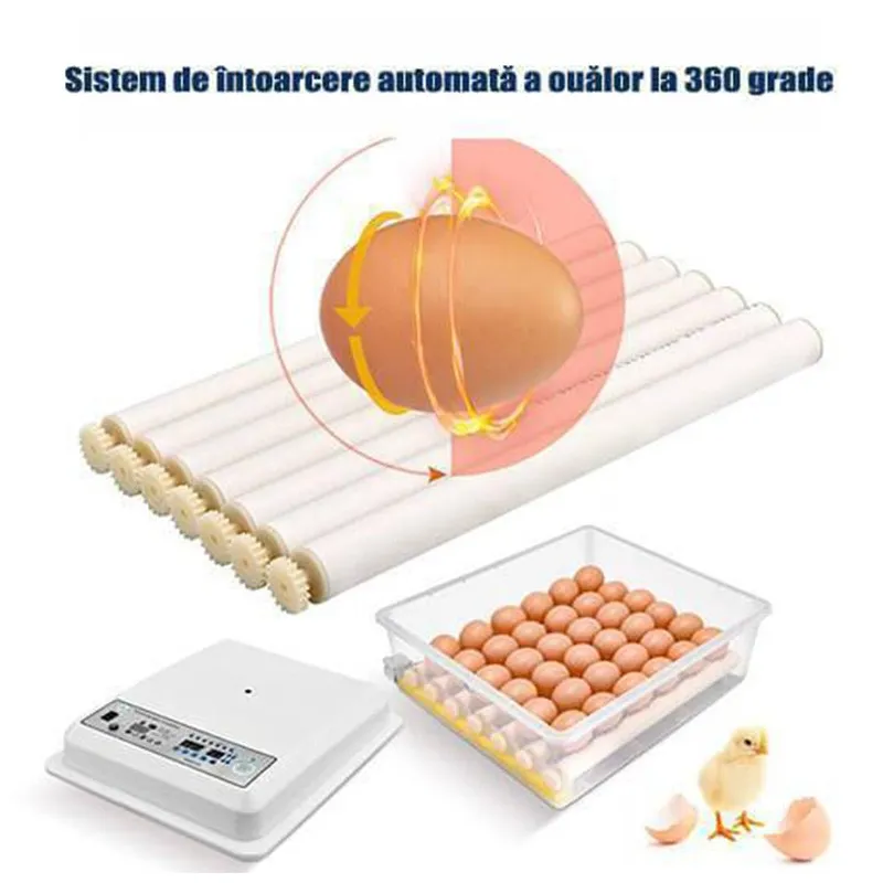 Incubator automat 12V