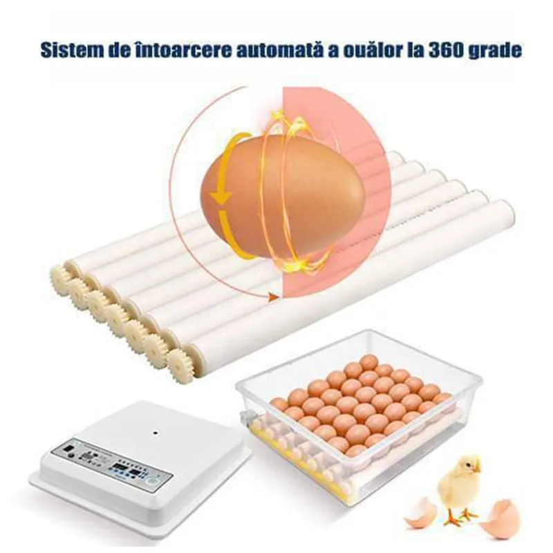 Incubator automat 12V