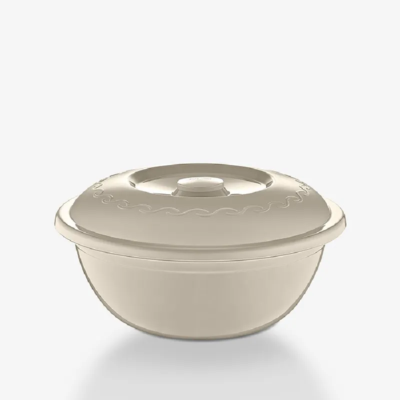 Lighean cu capac 10.0 L