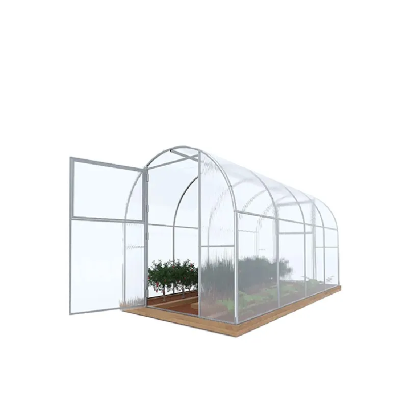 Sera policarbonat cu sistem de irigare (10x3x2.5)