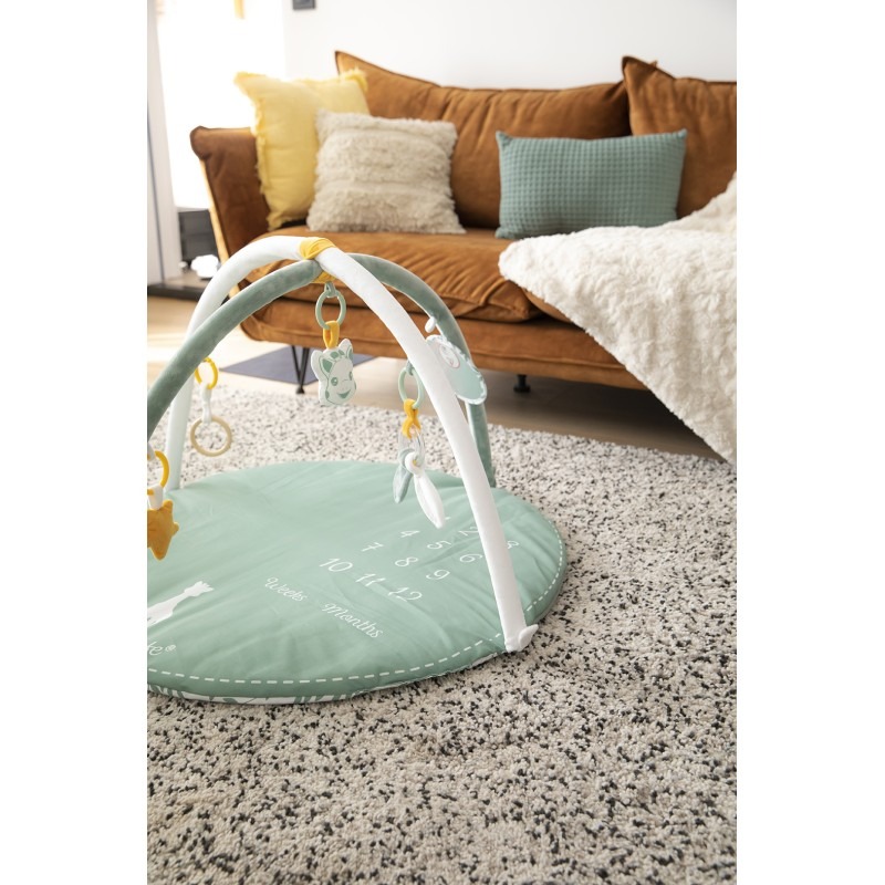 Salteluta interactiva reversibila IEUF Girafa Sophie