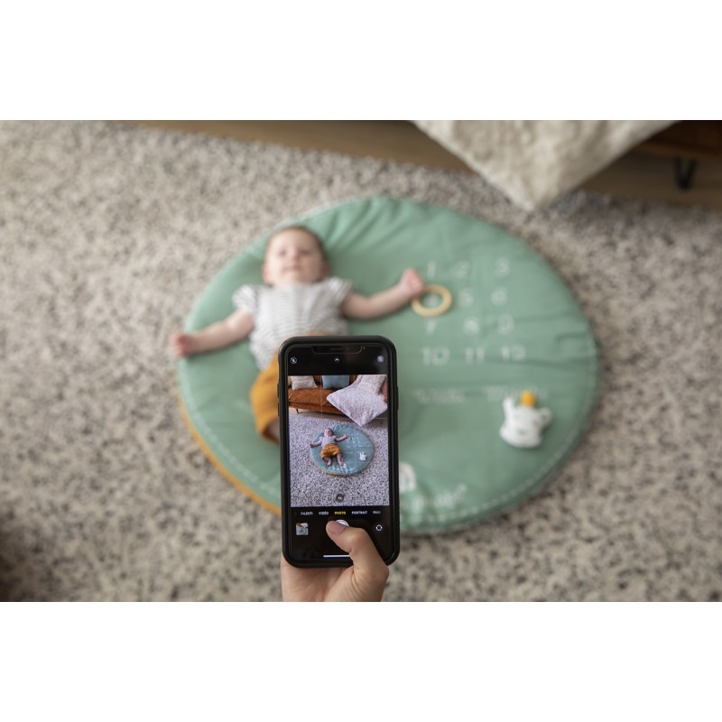 Salteluta interactiva reversibila IEUF Girafa Sophie