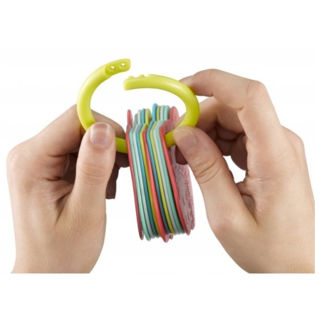 Cartulie in imagini pe inel Girafa Sophie