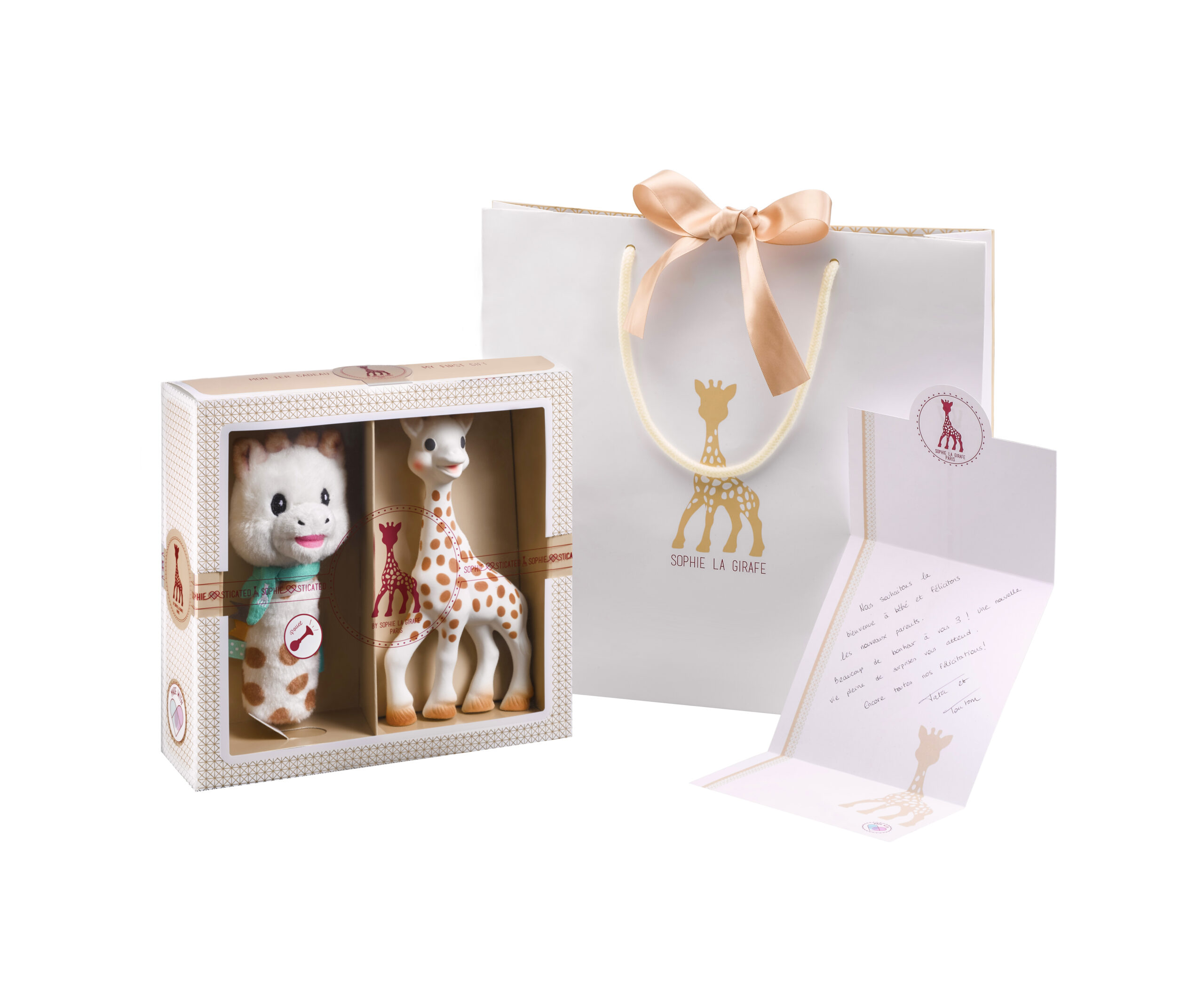 Classical creation - Composition 5  (Girafa Sophie + pouet zornăitoare )  A gift bag and a card are
