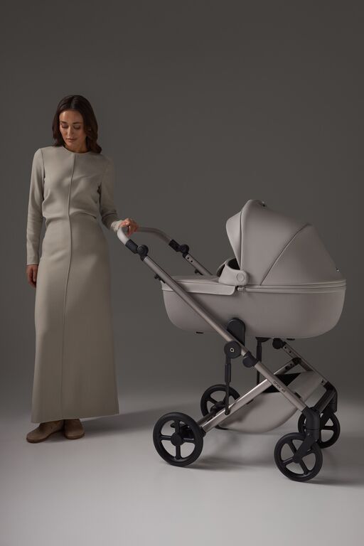 Carucior 2 in 1 Anex  ELI SANTAL