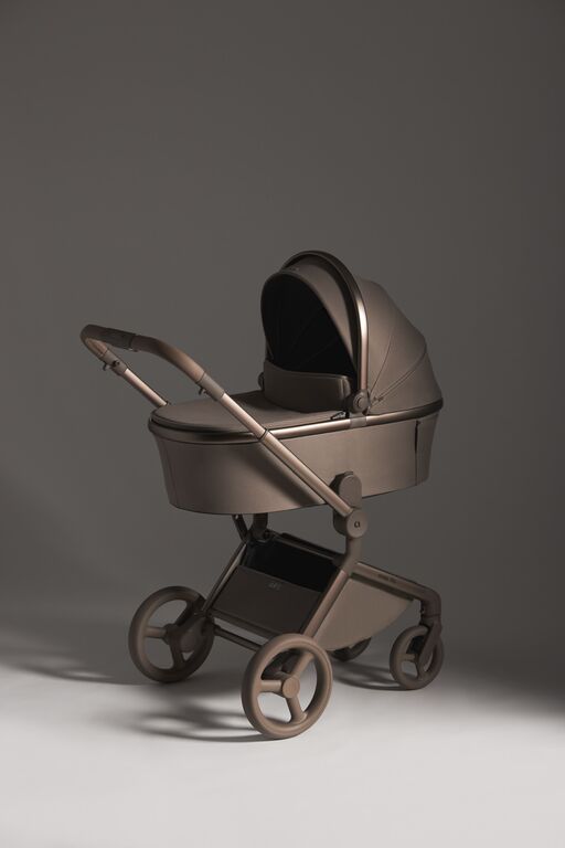 Carucior 2 in 1 Anex FLO YUKI 8
